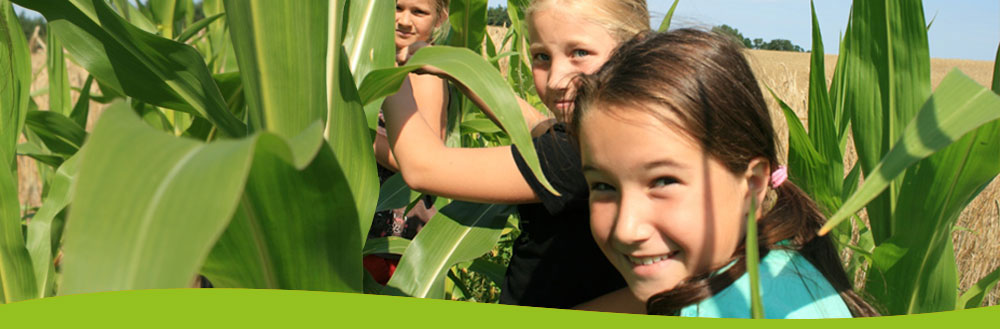 Klassenfahrten Ferienlager Kitareisen Gruppenreisen