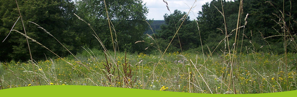 Klassenfahrten Ferienlager Kitareisen Gruppenreisen
