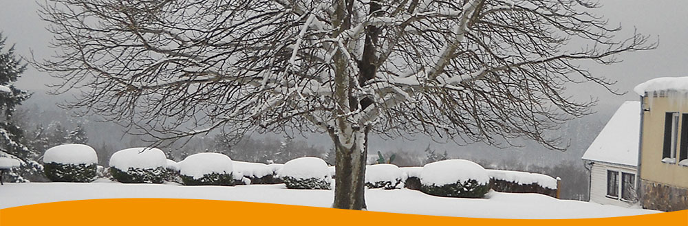 Klassenfahrten Ferienlager Kitareisen Gruppenreisen